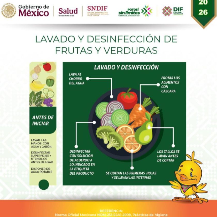 Infografía de Lavado y Desinfección de Verduras y Frutas