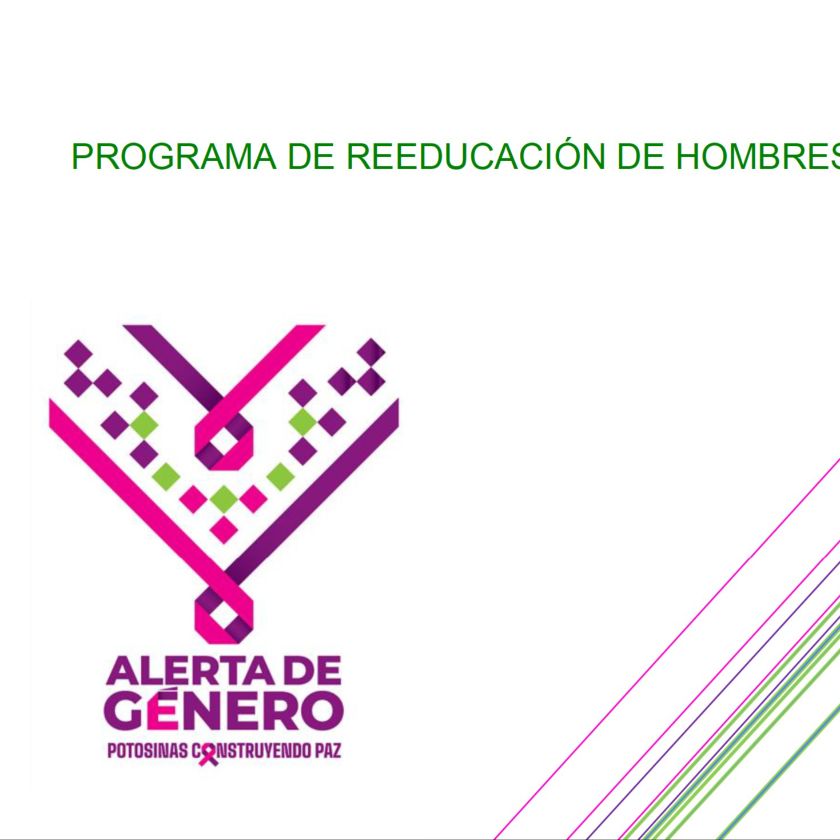 PROGRAMA DE REEDUCACIÓN DE HOMBRES