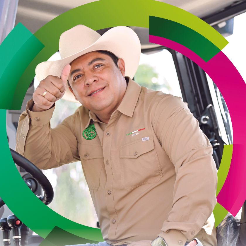 Desarrollo del campo