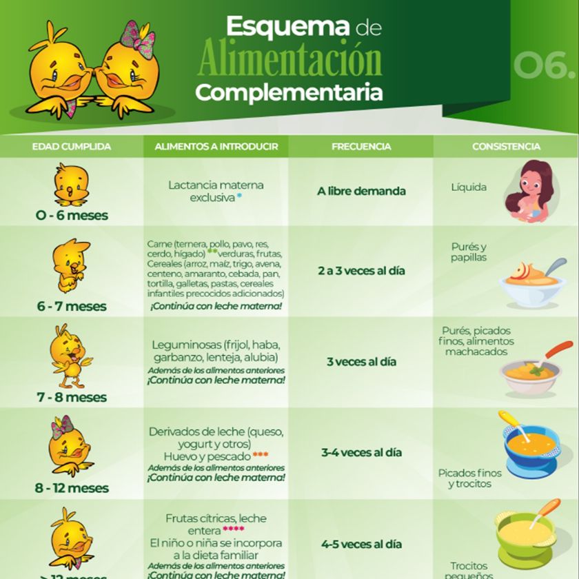 Esquema Alimentación Complementaria Español