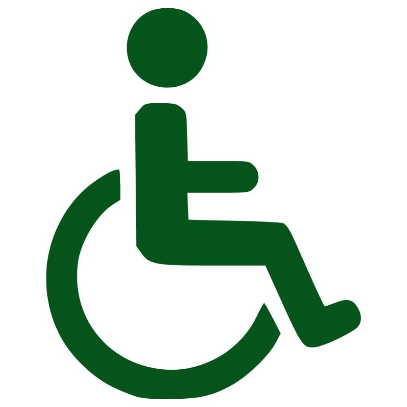 Población con alguna discapacidad