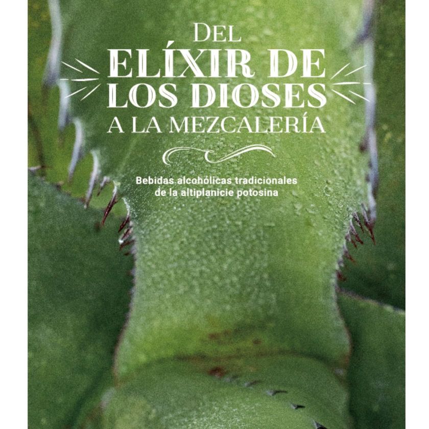 Del Elíxir de los Dioses a la Mezcalería