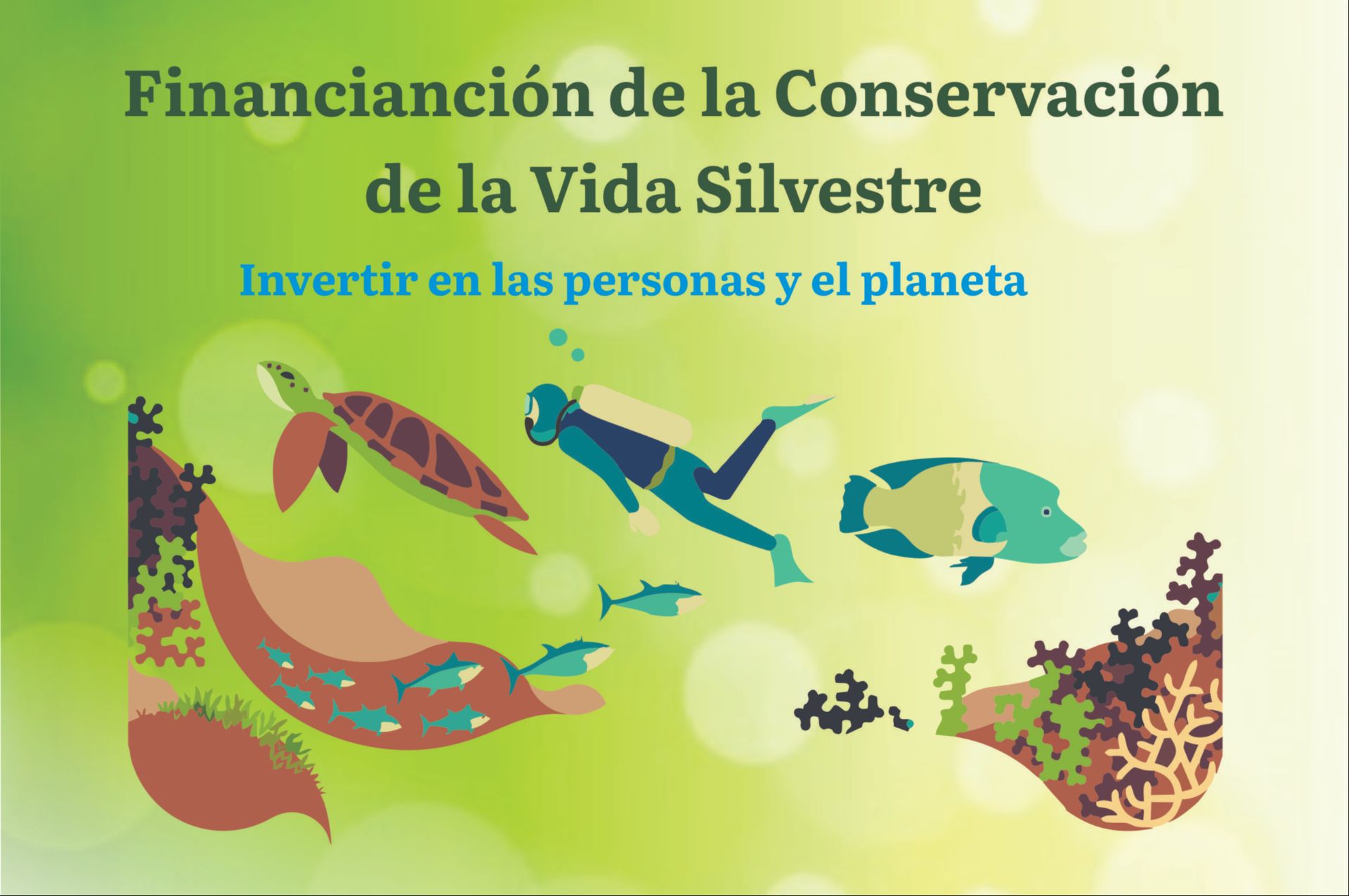 
                         
                            Imagen vida-silvestre-2.jpeg
                         
                         