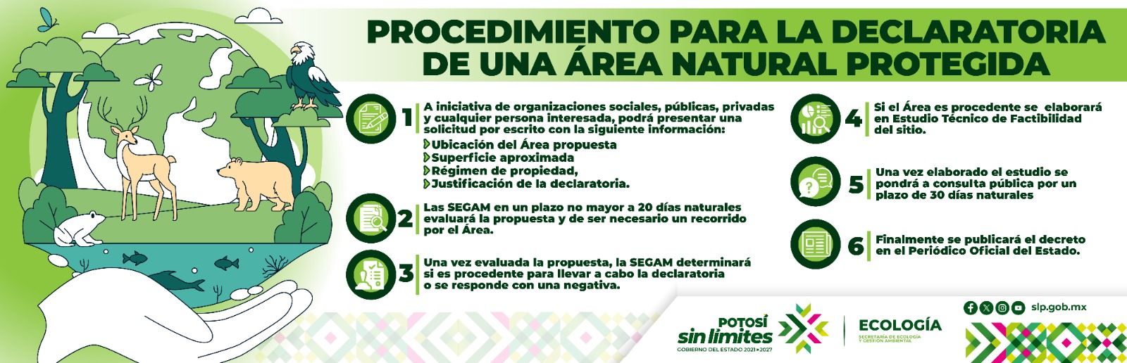 
                         
                            Imagen whatsapp-image-2025-07-31-at-93136-am.jpeg
                         
                         