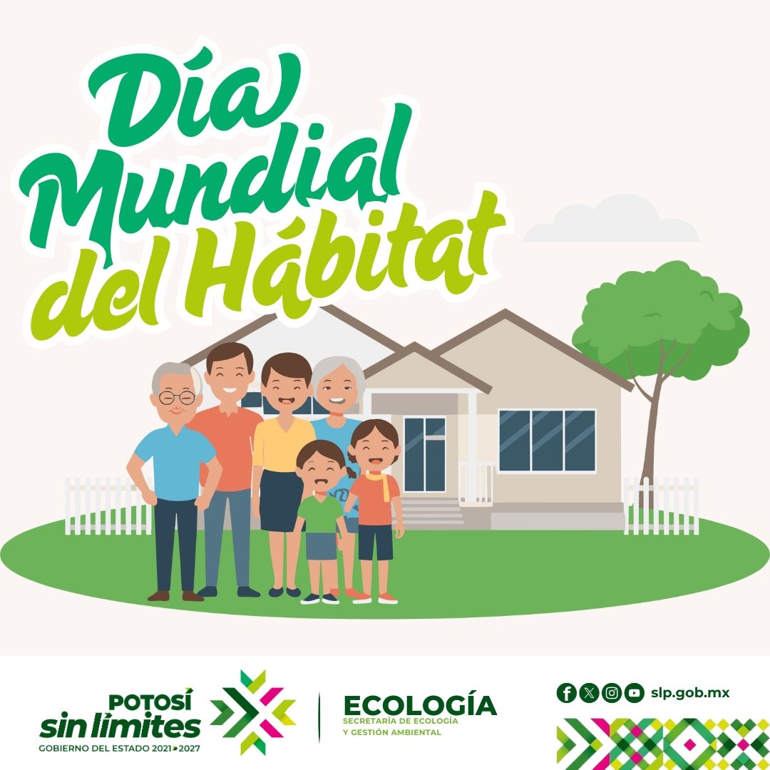 
                         
                            Imagen whatsapp-image-2025-10-10-at-82040-am.jpeg
                         
                         