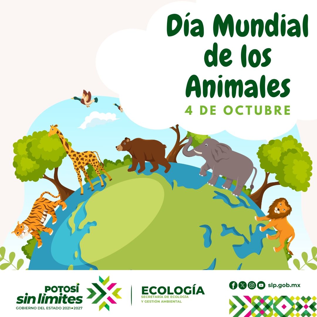 
                         
                            Imagen whatsapp-image-2025-10-10-at-82041-am-1.jpeg
                         
                         