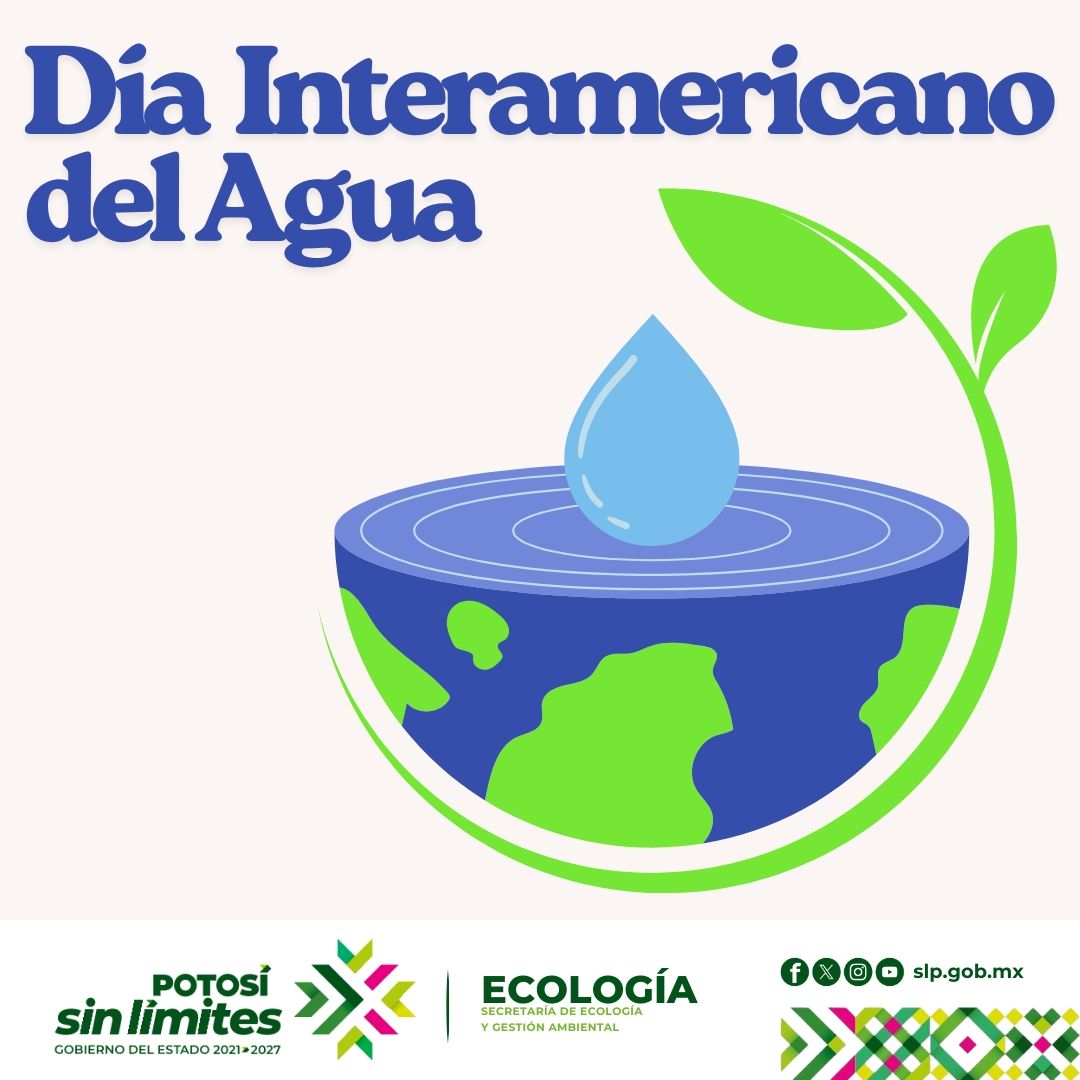 
                         
                            Imagen whatsapp-image-2025-10-10-at-82041-am.jpeg
                         
                         