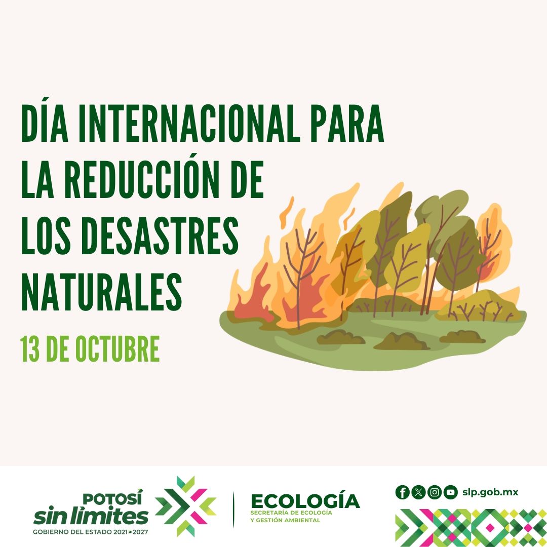 
                         
                            Imagen whatsapp-image-2025-10-10-at-82117-am.jpeg
                         
                         