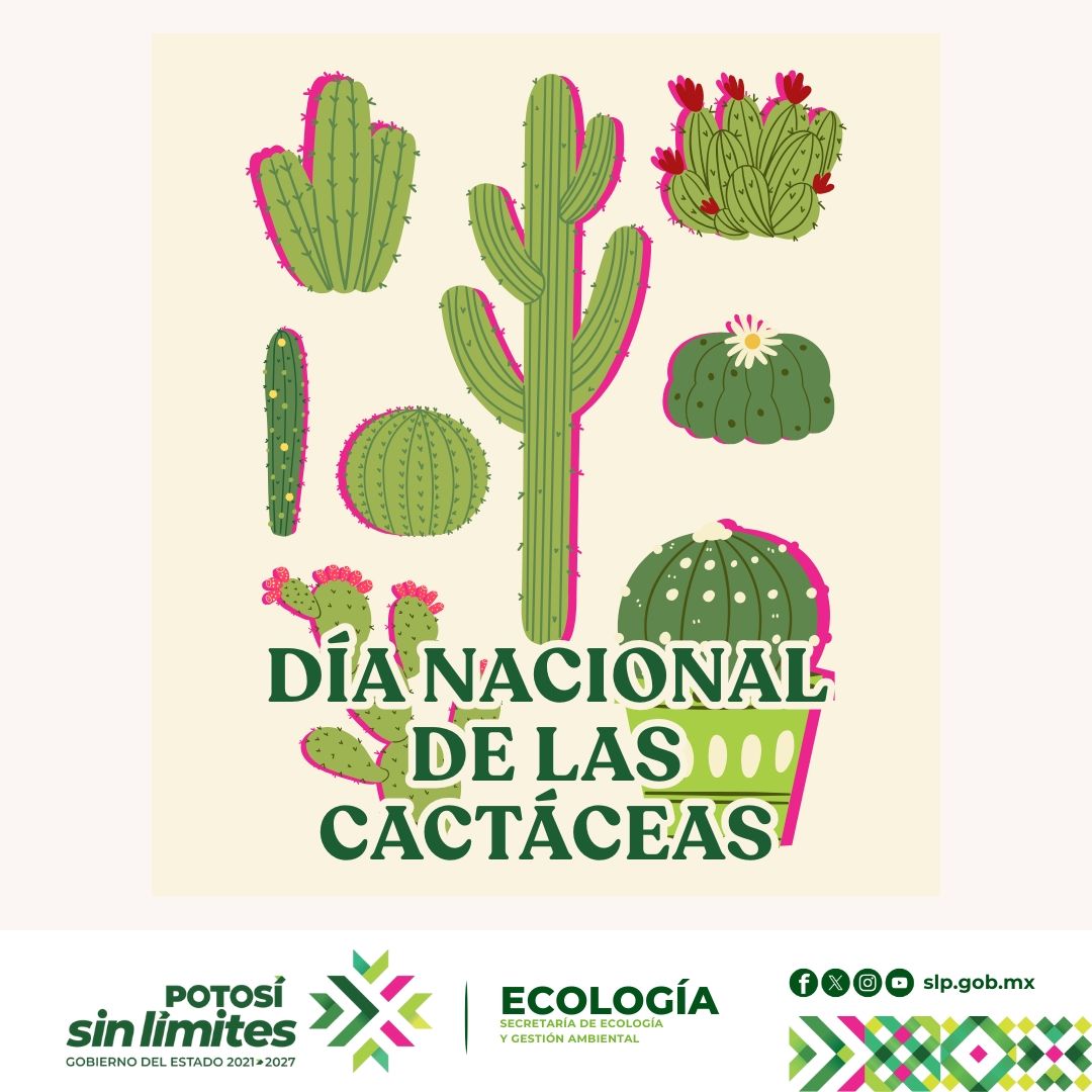 
                         
                            Imagen whatsapp-image-2025-10-10-at-82823-am.jpeg
                         
                         