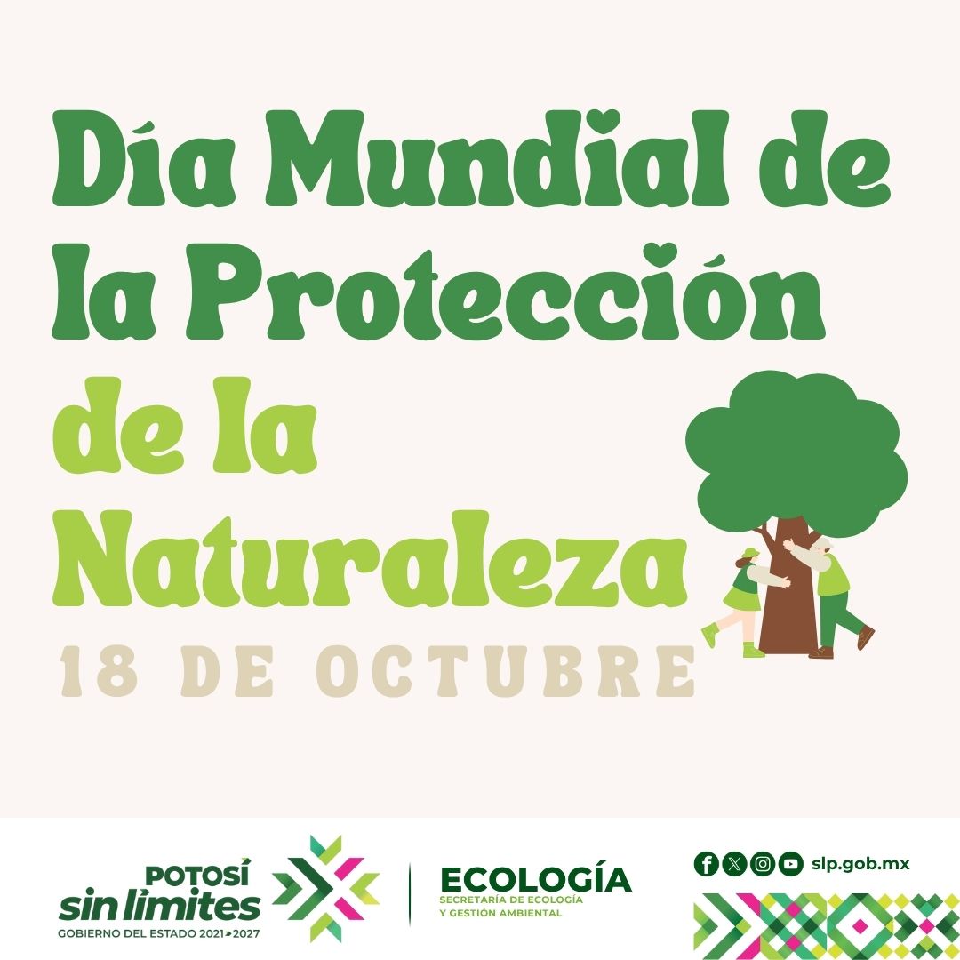 
                         
                            Imagen whatsapp-image-2025-10-14-at-13905-pm.jpeg
                         
                         