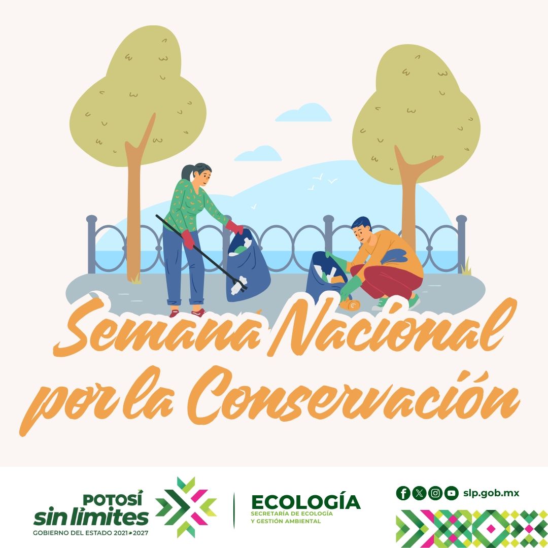 
                         
                            Imagen whatsapp-image-2025-10-21-at-92249-am.jpeg
                         
                         