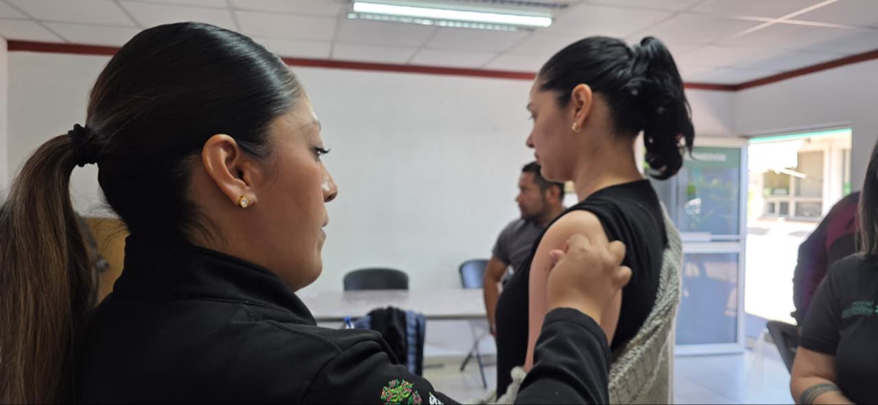 
    
        whatsapp-image-2025-11-14-at-111559-am-2.jpeg IMG
    
    