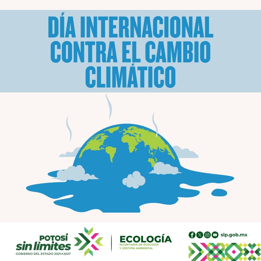 
                         
                            Imagen whatsapp-image-2025-11-27-at-113017-am.jpeg
                         
                         