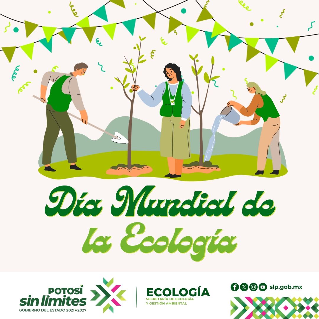 
                         
                            Imagen whatsapp-image-2025-11-27-at-113057-am.jpeg
                         
                         