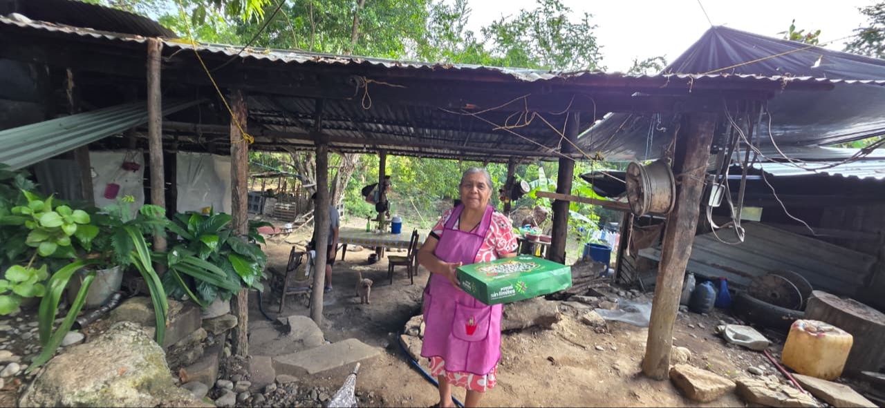 
    
        whatsapp-image-2026-01-06-at-52409-pm-1.jpeg IMG
    
    