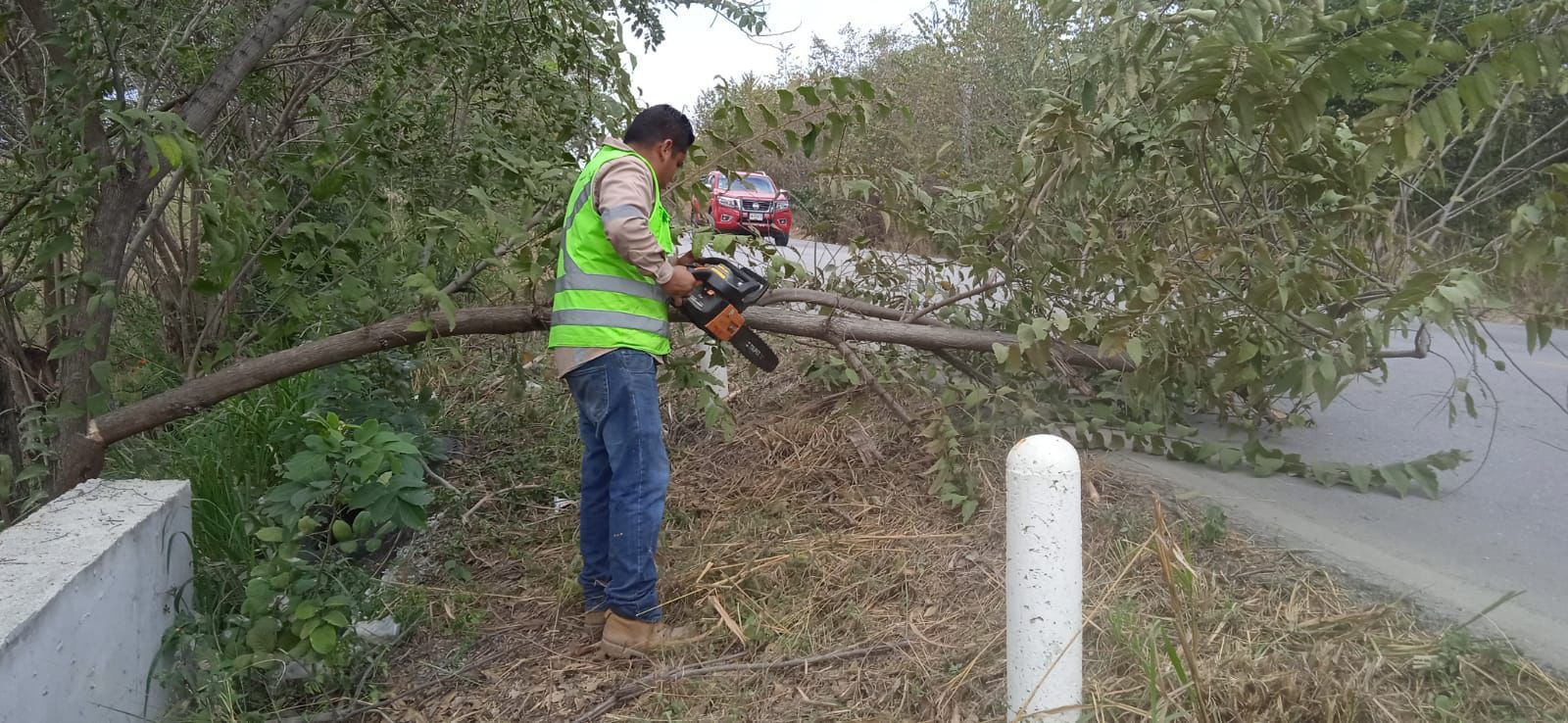 
    
        whatsapp-image-2026-02-07-at-20501-pm.jpeg IMG
    
    