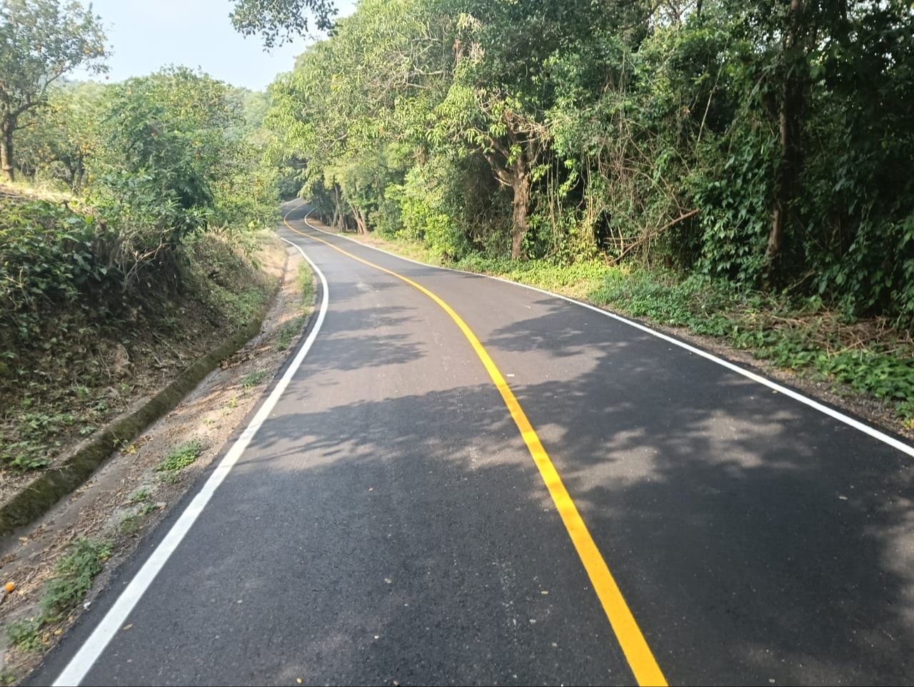 
    
        whatsapp-image-2026-02-10-at-115515-am.jpeg IMG
    
    