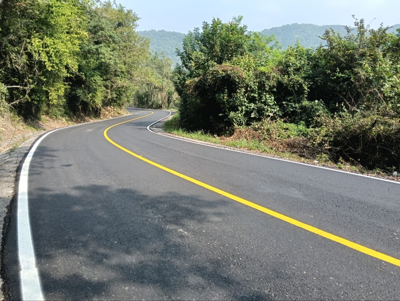 
    
        whatsapp-image-2026-02-10-at-115516-am.jpeg IMG
    
    