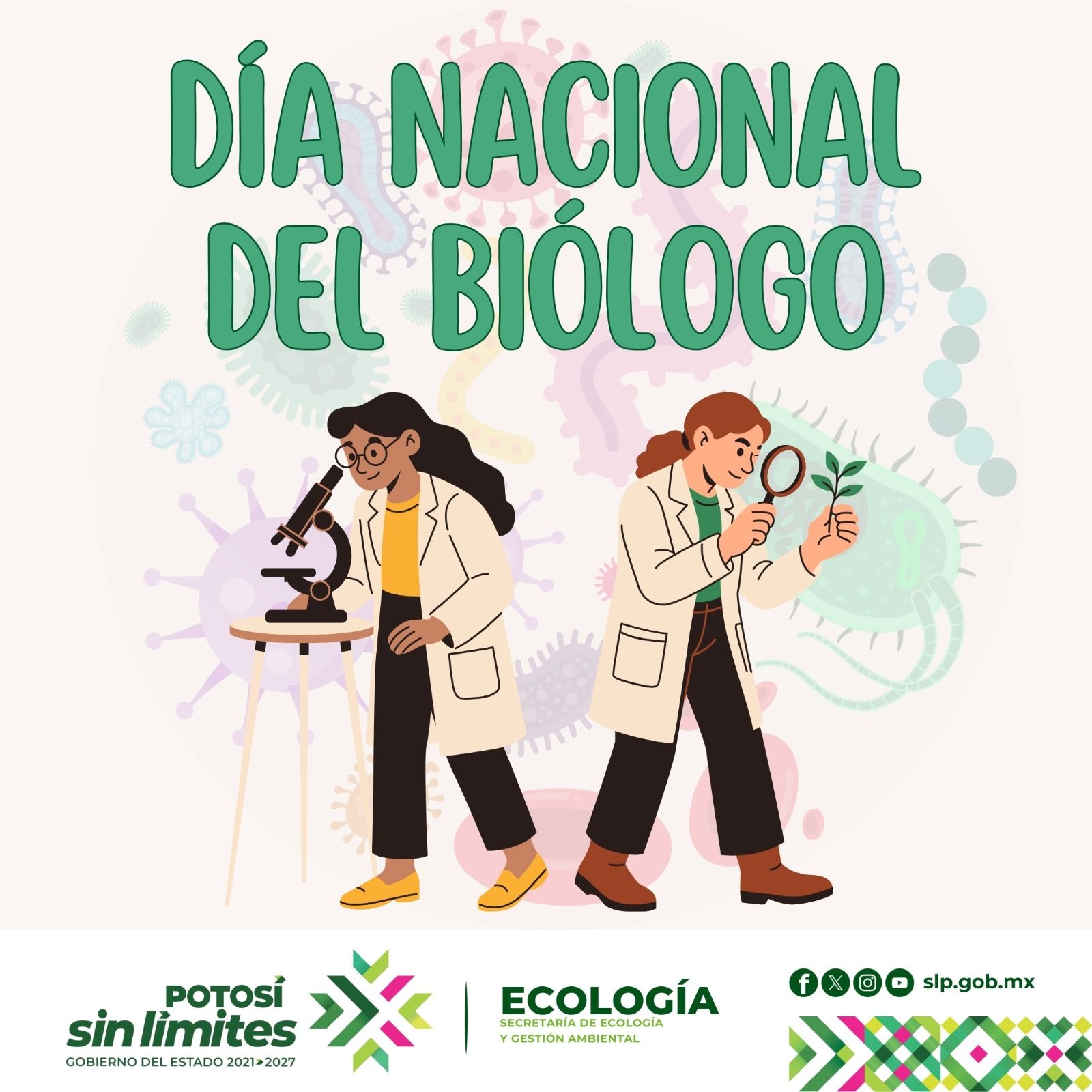 
                         
                            Imagen whatsapp-image-2026-02-12-at-122745-pm.jpeg
                         
                         