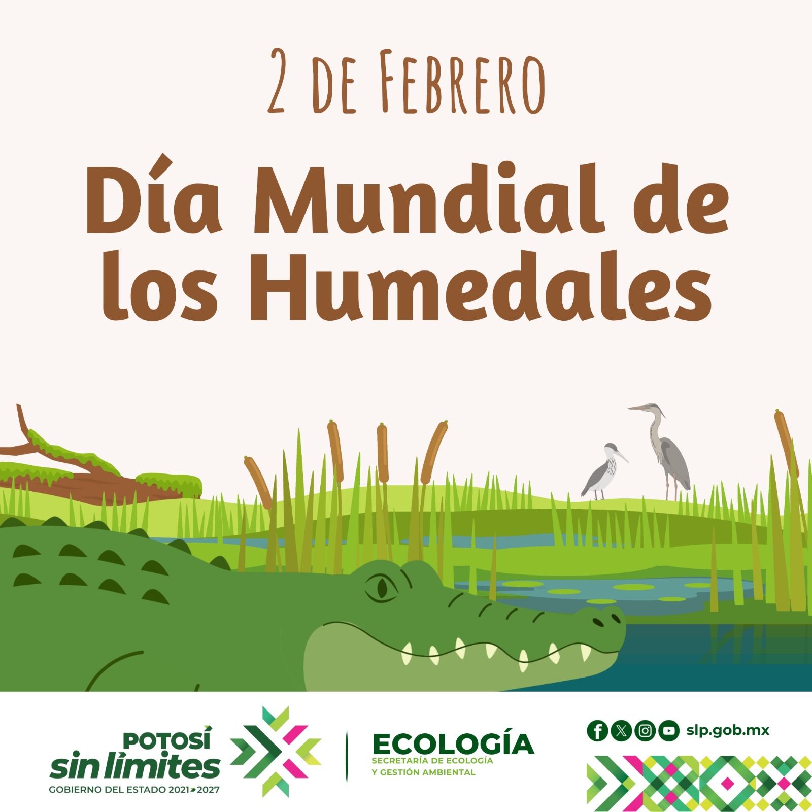 
                         
                            Imagen whatsapp-image-2026-02-12-at-123016-pm.jpeg
                         
                         