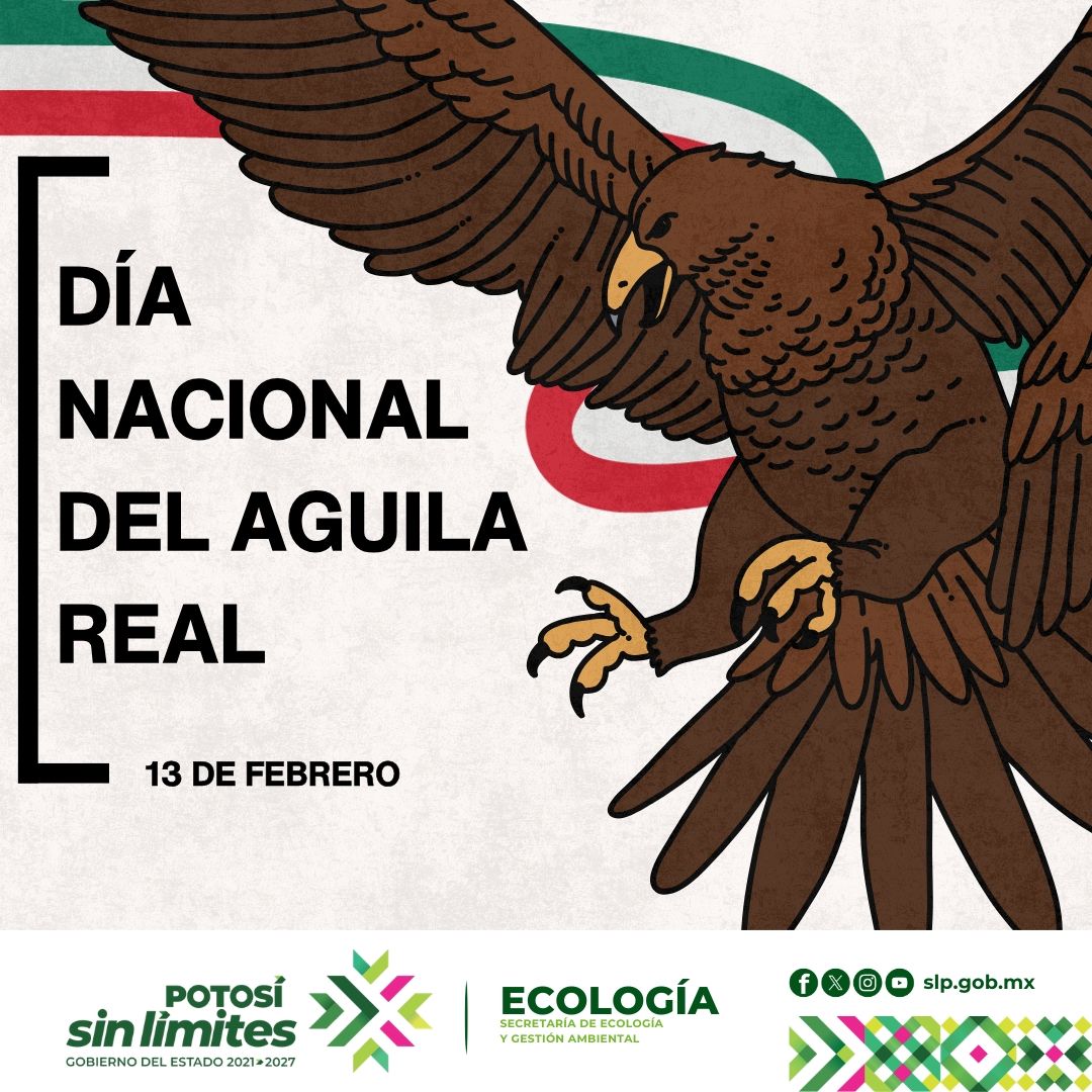 
                         
                            Imagen whatsapp-image-2026-02-12-at-123059-pm.jpeg
                         
                         