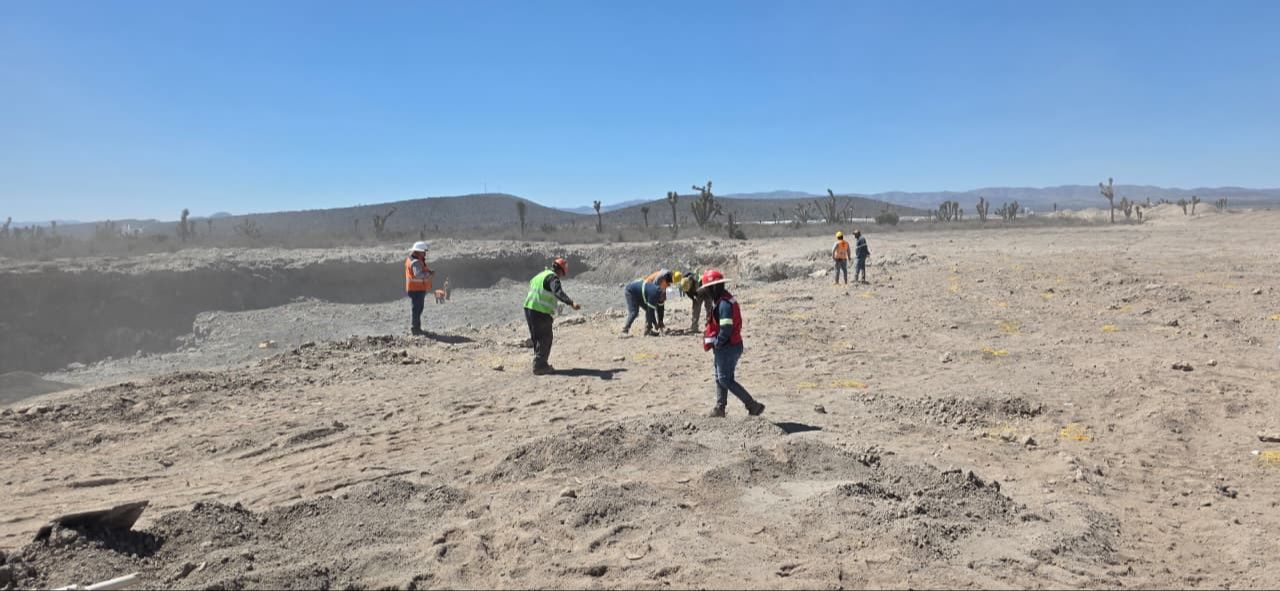 
    
        whatsapp-image-2026-02-27-at-12241-pm-7.jpeg IMG
    
    