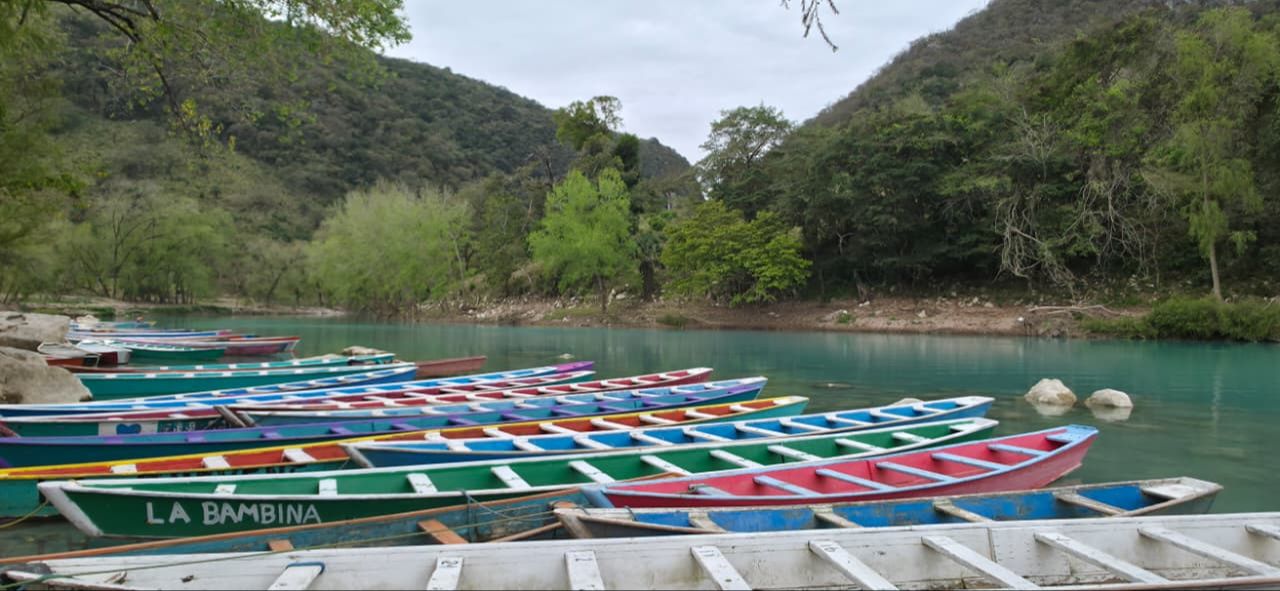 
    
        whatsapp-image-2026-03-17-at-110705-am-2.jpeg IMG
    
    