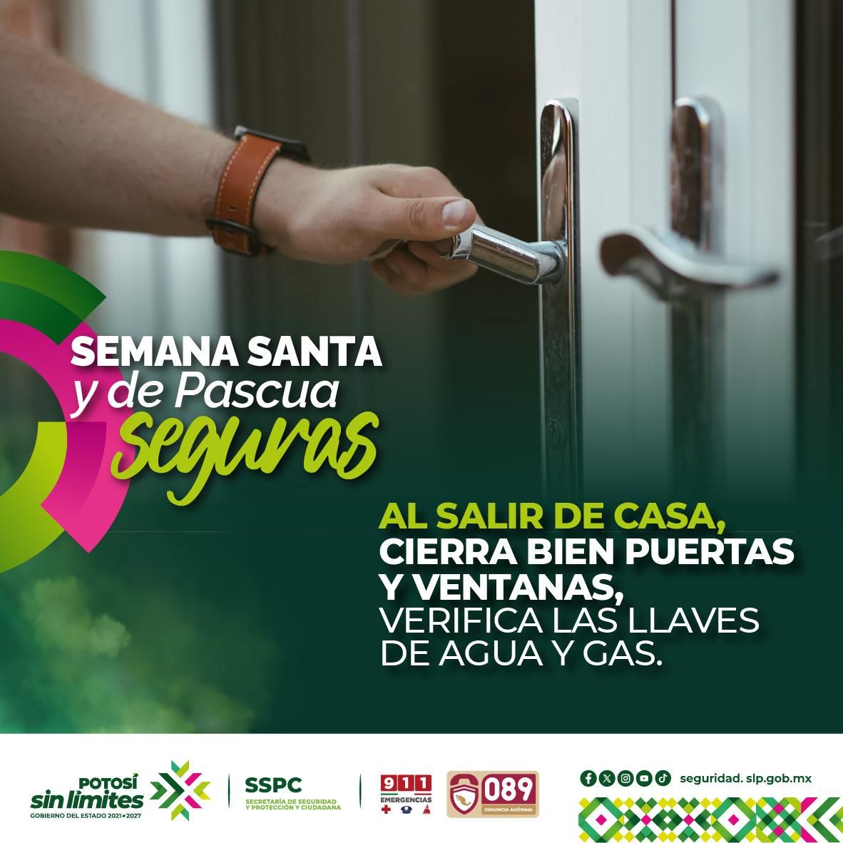 
    
        whatsapp-image-2026-03-24-at-120242-pm-3.jpeg IMG
    
    