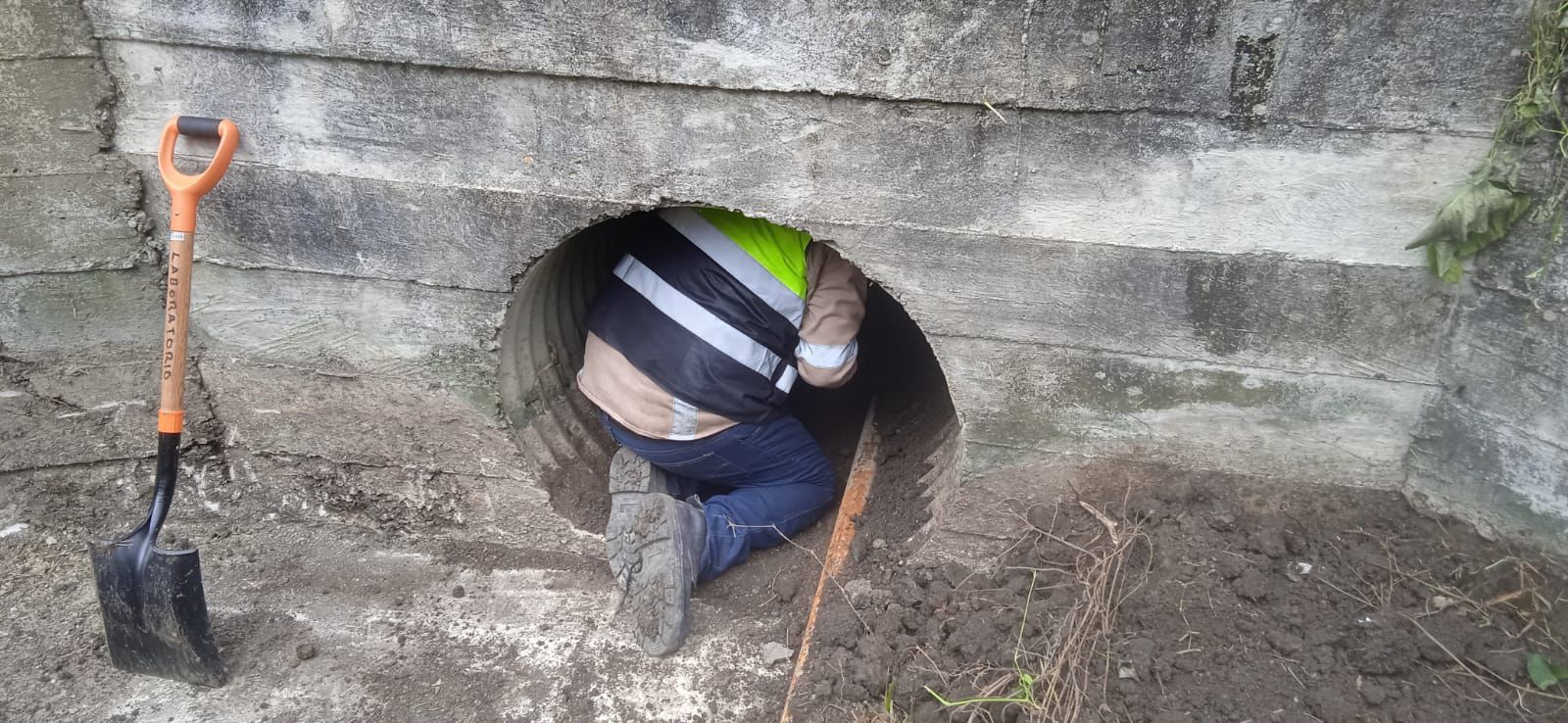 
    
        whatsapp-image-2026-04-21-at-95057-am.jpeg IMG
    
    