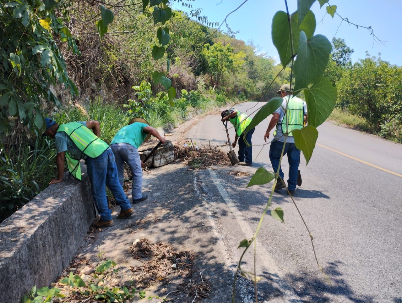 
    
        whatsapp-image-2026-04-21-at-95058-am-2.jpeg IMG
    
    