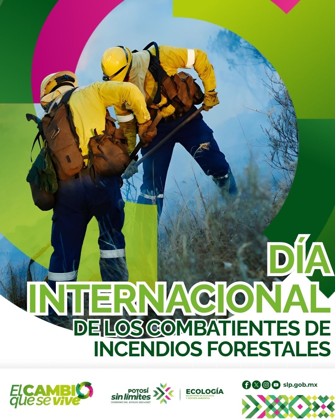 
                         
                            Imagen whatsapp-image-2026-05-05-at-22125-pm_DV5TQUX.jpeg
                         
                         