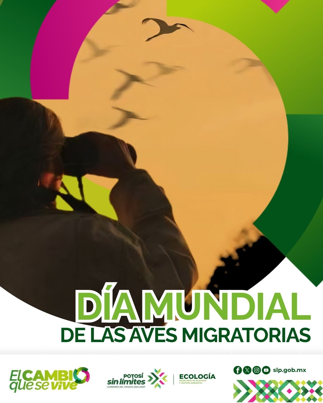 
                         
                            Imagen whatsapp-image-2026-05-05-at-22140-pm.jpeg
                         
                         