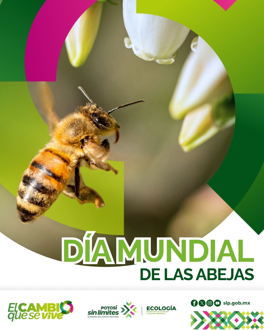 
                         
                            Imagen whatsapp-image-2026-05-18-at-21151-pm.jpeg
                         
                         