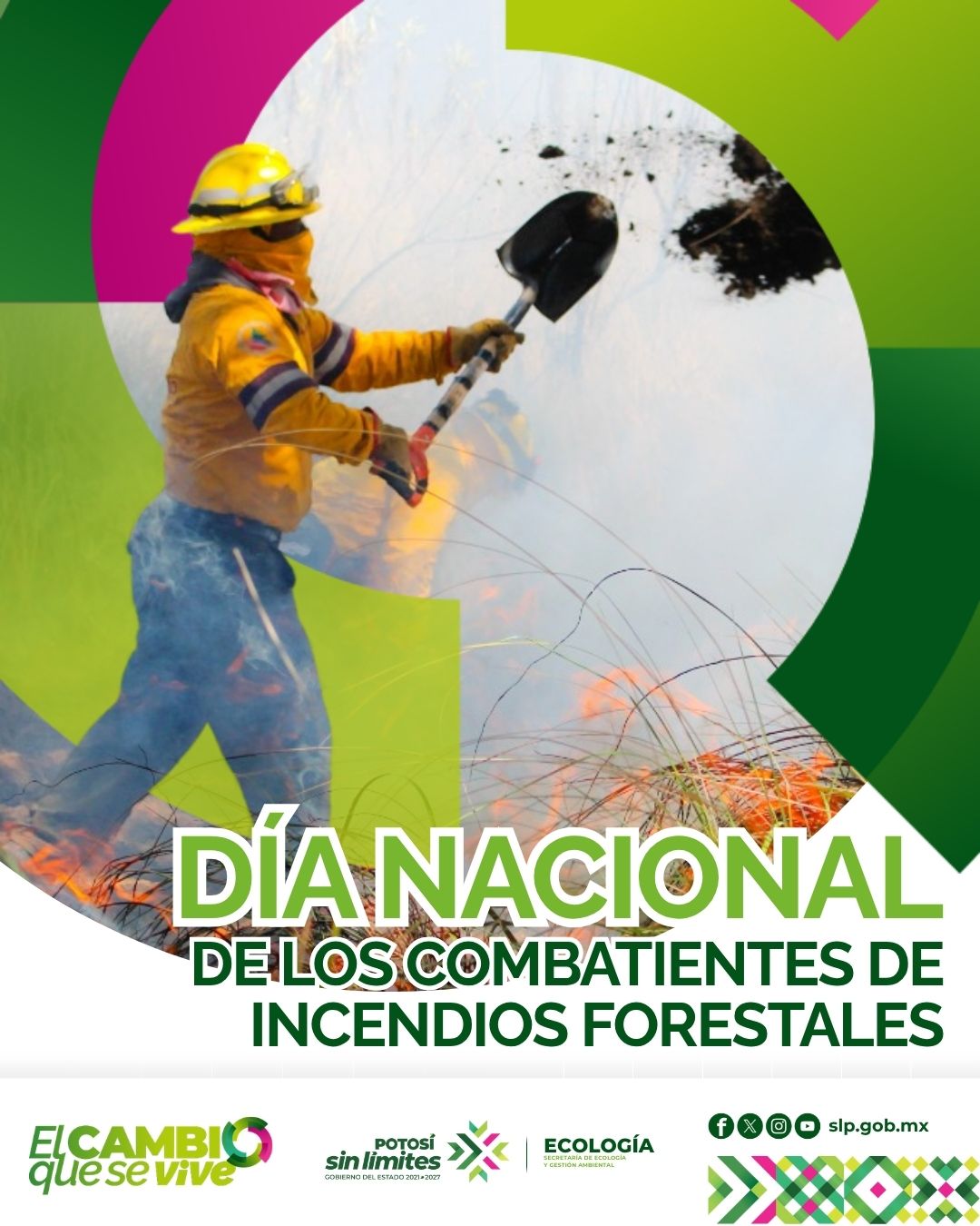 
                         
                            Imagen whatsapp-image-2026-07-01-at-100155-am.jpeg
                         
                         
