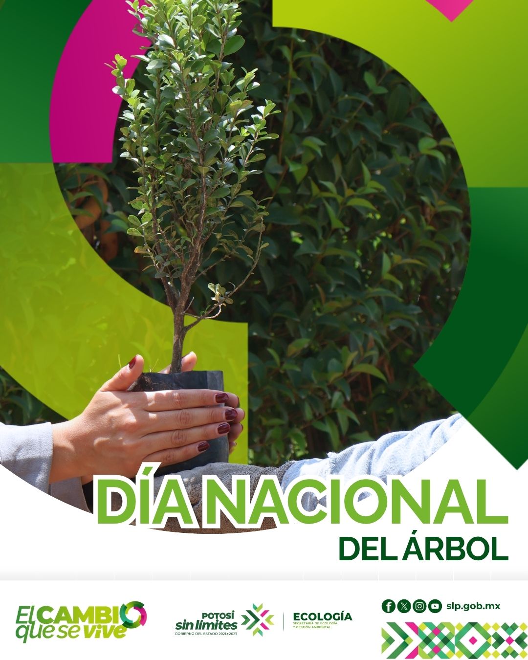 
                         
                            Imagen whatsapp-image-2026-07-03-at-112113-am.jpeg
                         
                         