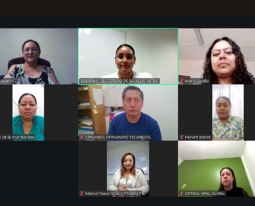 UNDÉCIMA SESION DEL PROGRAMA